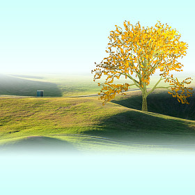 高尔夫球场美丽图片