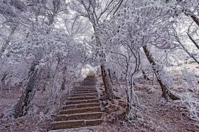 冬天的楼梯视图在黄山国家公园