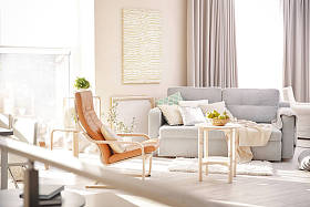 客厅里的内部图片