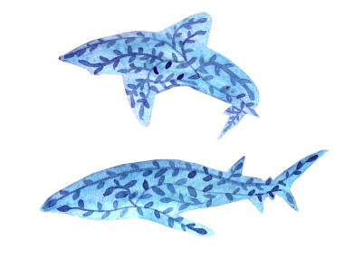 水彩鲸鱼与花照片