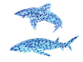 水彩鲸鱼与花照片