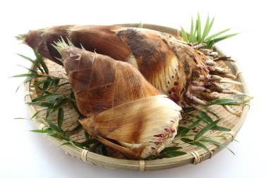 新鮮采摘竹筍，日本食品圖片