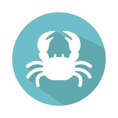 平的旅行图标照片