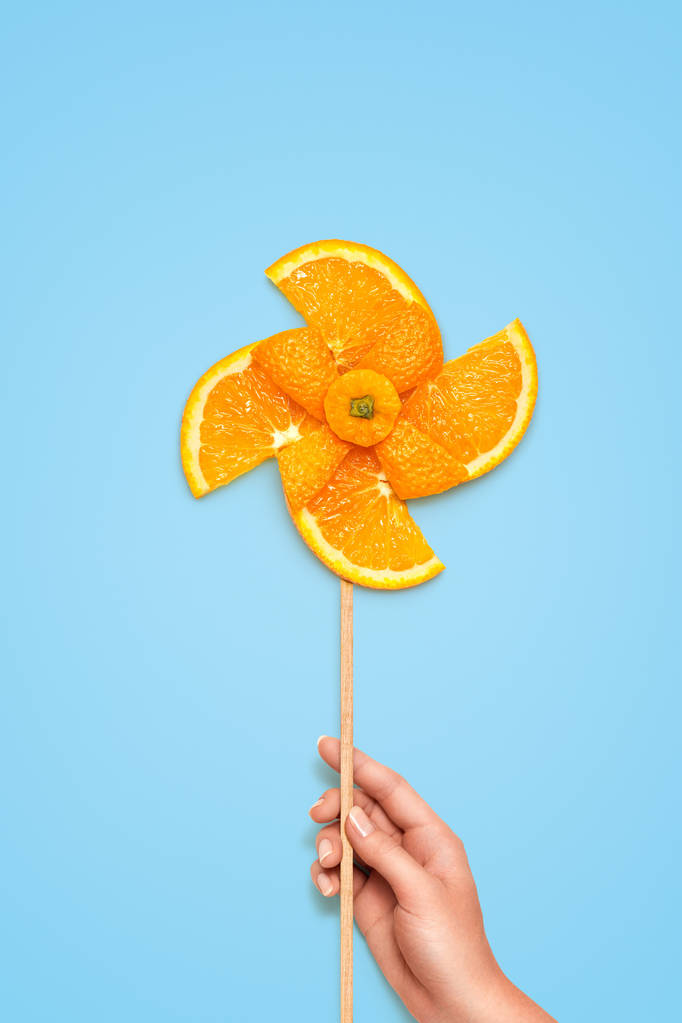 创造性的静物图片