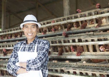 在養(yǎng)雞場(chǎng)里的農(nóng)夫