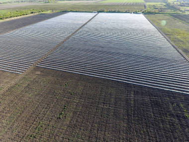 朦朧的蔬菜溫室，該字段的行。在封閉的地面的蔬菜種植。溫室中的字段
