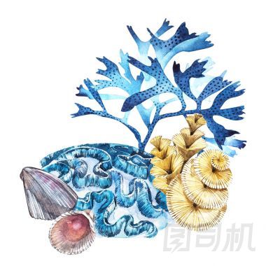 成分海藻海生活和珊瑚對象隔離在白色背景上。水彩手繪彩繪的插圖。水下的水彩背景圖