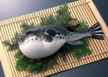 新鮮和健康的魚海鮮