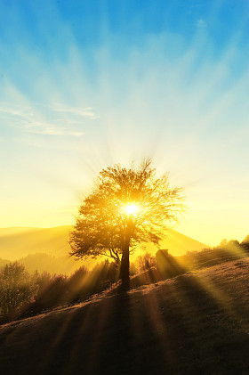 秋季风景与彩林照片