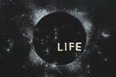 詞生活從餅干照片