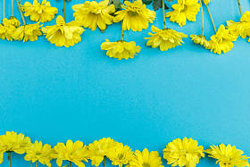 美丽的黄色花朵