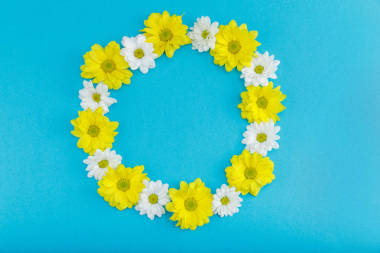 美麗的黃色和白色的花朵