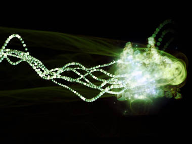 前向运动的能量照片