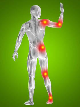 人体解剖学与痛苦迹象照片