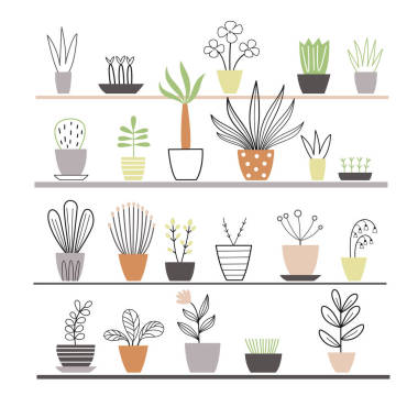 植物生长在花盆里  图片