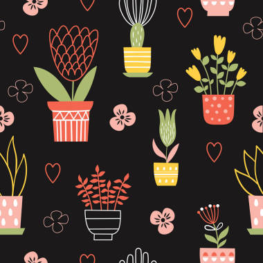 植物生长在花盆里  