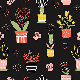 植物生长在花盆里  