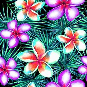 无缝的热带背景