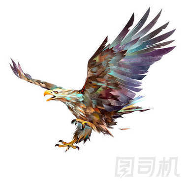 白色背景上畫明亮飛鷹圖片