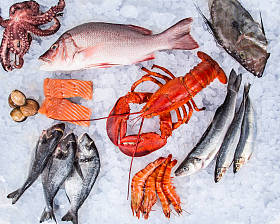 新鲜美味的海鲜，送达老木