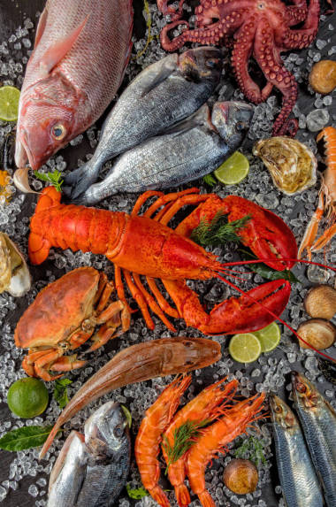 许多种类的海鲜，在碎冰上图片