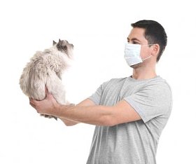 动物过敏概念。英俊的男人，与白色背景上的猫