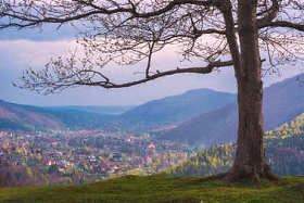 孤独的大树，山上的那个小山村
