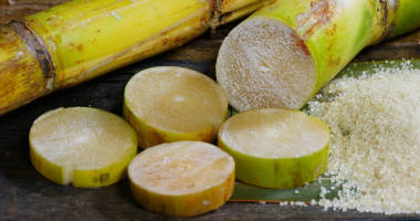 甘蔗、 方糖和糖原料顆粒中的組成一個宏鏡頭。概念︰ 甜味劑、 性質、 能量、 果汁和飲料