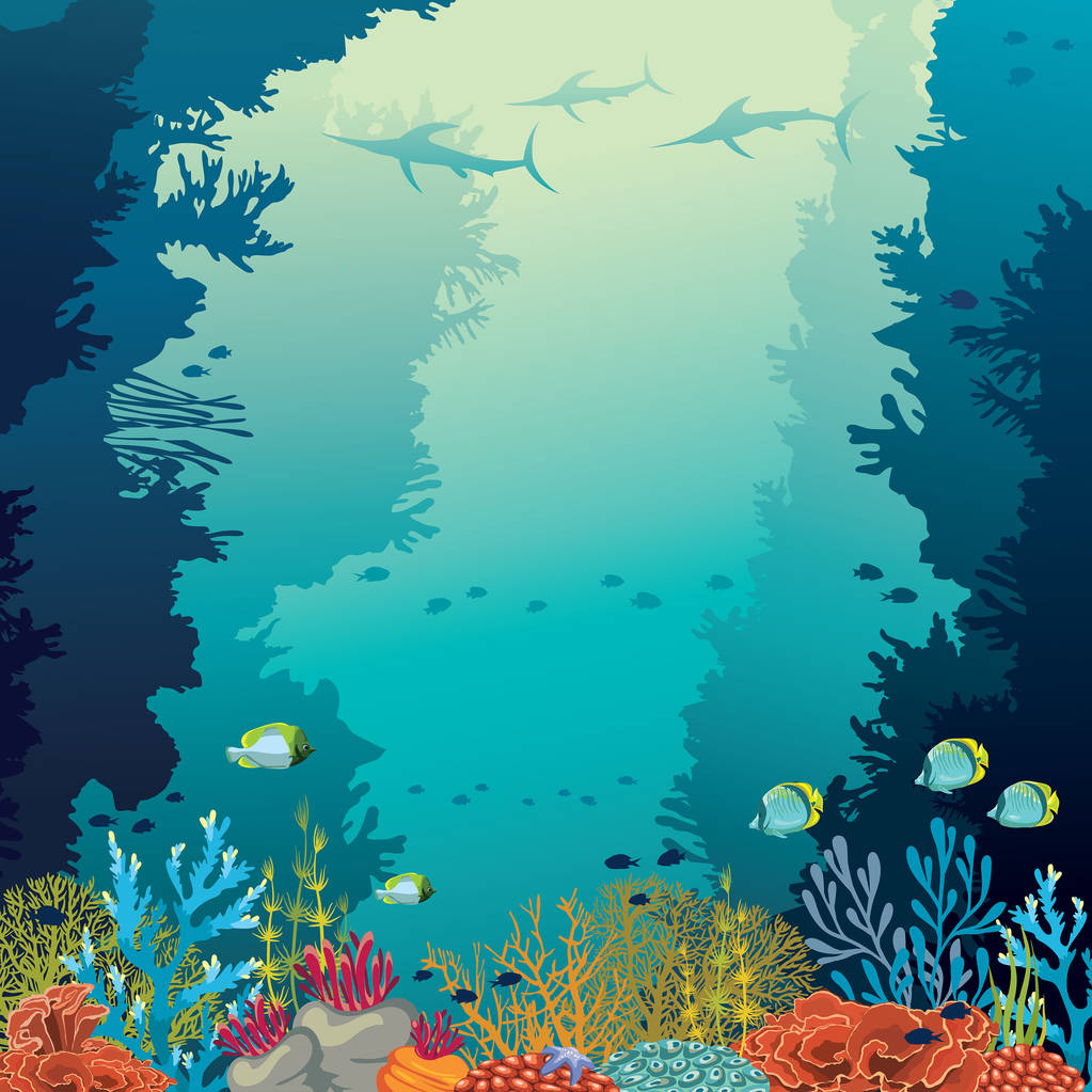 水下珊瑚礁、 marlines 和海