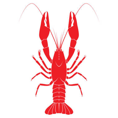 红色小龙虾矢量平面插画上白色酒泉孤立