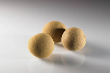 龙眼热带水果图片