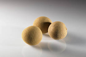 龙眼热带水果图片