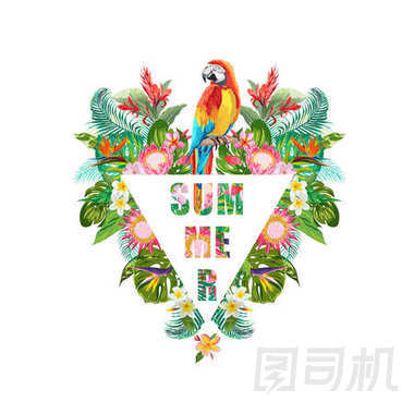 熱帶花卉和鸚鵡鳥(niǎo)背景。夏天的設(shè)計(jì)。矢量。T 恤時(shí)尚圖形。異國(guó)情調(diào)