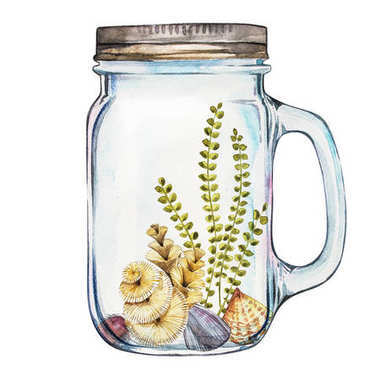Isoleted 滾揉機與海洋生活景觀-海洋和水下世界的不同的居民。水族館概念的海報、 t 恤、 標(biāo)簽、 網(wǎng)站、 明信片