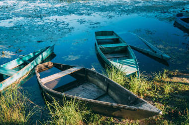 廢棄舊木制漁船在夏天湖泊或河流中。美麗的夏天