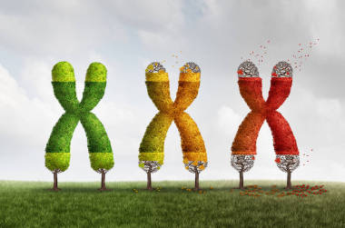 端粒損失健康概念圖片