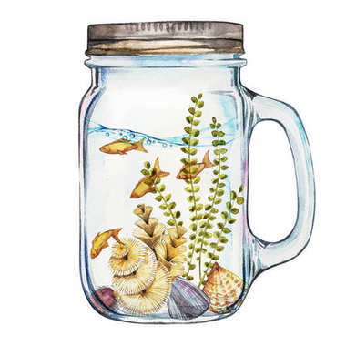 Isoleted 滾揉機與海洋生活景觀-海洋和水下世界的不同的居民。水族館概念的海報、 t 恤、 標(biāo)簽、 網(wǎng)站、 明信片