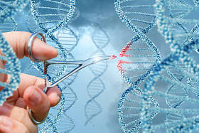 手插入 Dna 分子