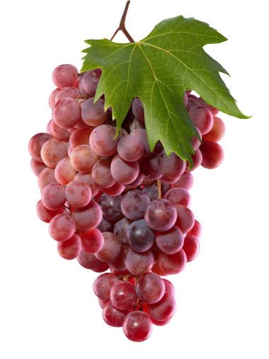 新鲜的绿色葡萄