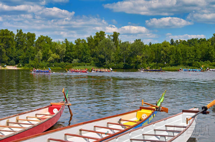 龍舟競渡發(fā)生在烏克蘭基輔 (8)