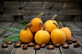 欧用有机栽培生产照片