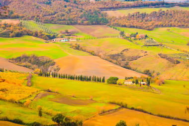 托斯卡納風(fēng)景與波山、 檜樹、 綠草