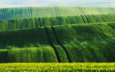 綠色丘陵字段照片