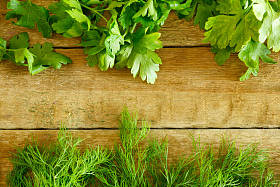 欧芹和莳萝木制的桌子上照片