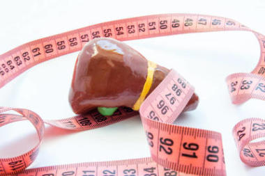 概念照片放大肝或胆囊。解剖肝图旁边卷尺。可视化扩大器官和各种疾病-肝硬化、 肝炎、 纤维化、 黄疸胆管