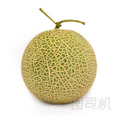 日本甜瓜或上白色孤立的哈密瓜
