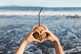 女人的手控股椰子图片