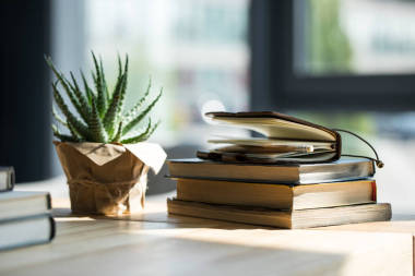 木制的桌子上的書、 筆記本用鉛筆和盆栽的植物特寫視圖 