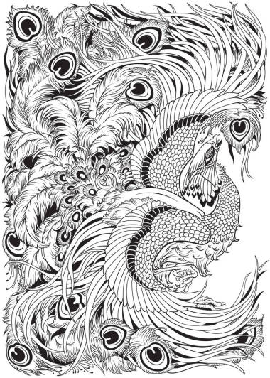 馮黃神話鳥黑色和白色圖片