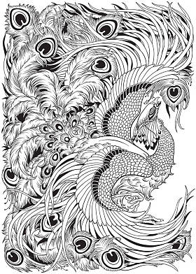 冯黄神话鸟黑色和白色图片